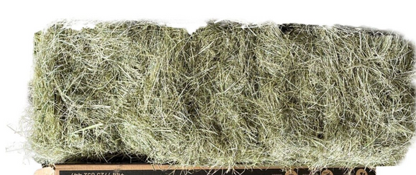 High Nutrition, Quality Timothy Hay, 100% Natural, for Rabbits & Guinea Pig Feed- 15kg