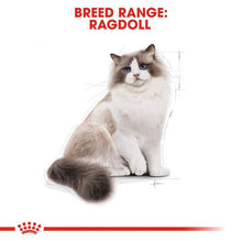 Load image into Gallery viewer, Royal Canin Ragdoll Adult Dry Cat Food