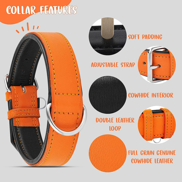 Genuine Leather Padded Dog Heavy Duty K-9 Adjustable Collar (XL: 4.5CM Wide for 55.9CM - 63.5CM Neck, Orange)