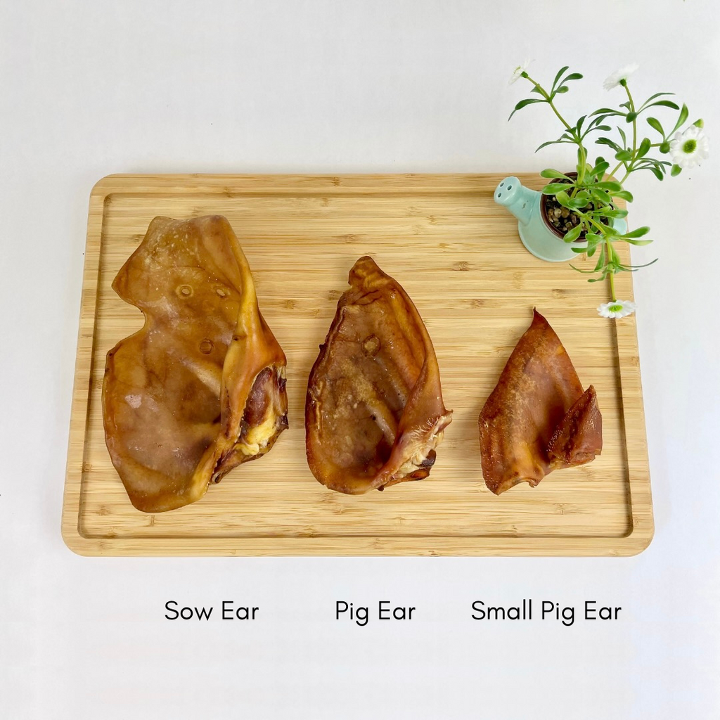 Small Pig Ears (1kg bags, 5kg & 20kg boxes)