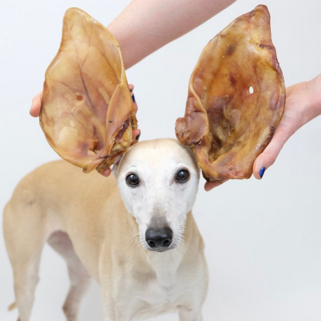 Sow Ears (Extra Large Pig Ears) (25pcs nets)