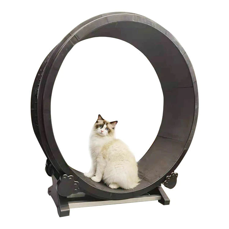 Cat wheel online