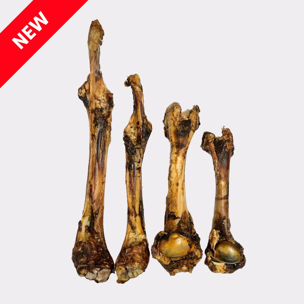 Medium Venison (Deer) Bones - 1pc & 10pcs