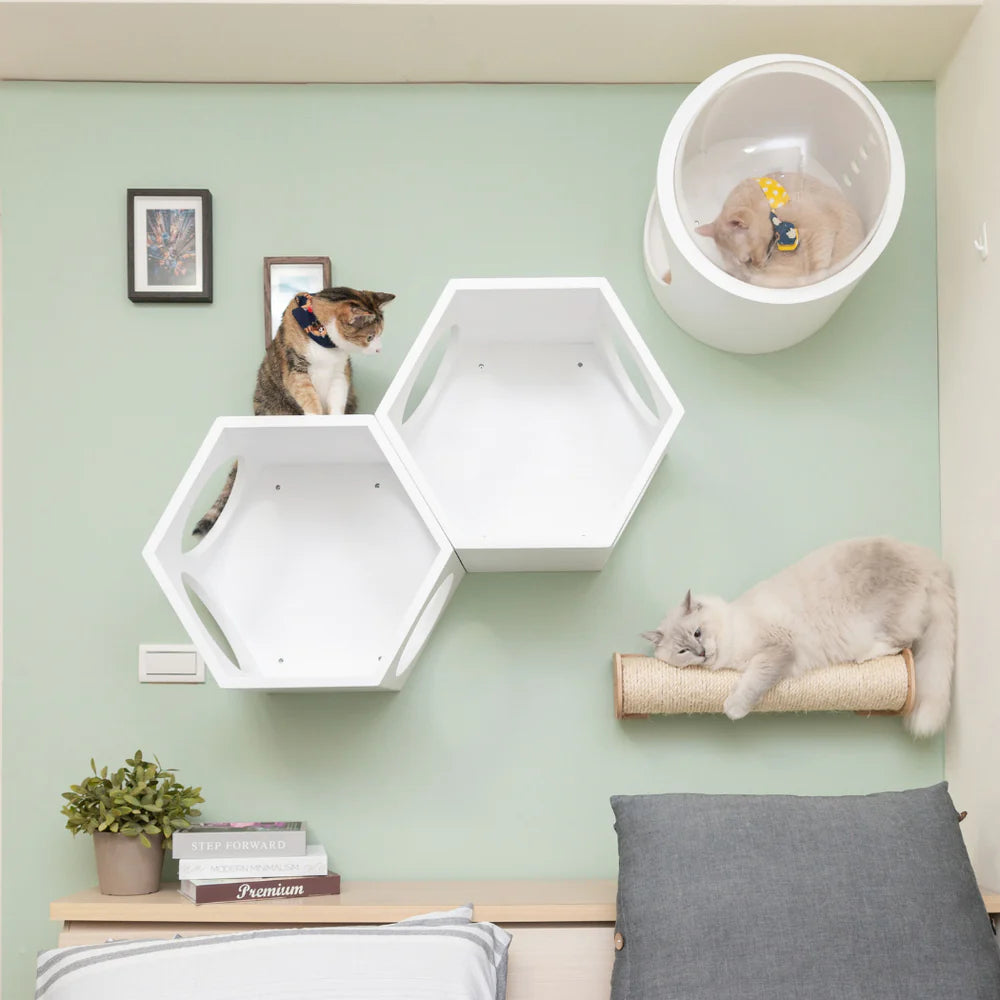 CAT WALL SHELVES FOR SMALL PLACE | SWEET BUNDLE SET |