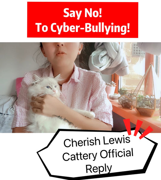 Cherish Lewis Ragdoll Cattery Official Reply to the Cyber-Bullies| Say No to Cyber-Bullying
