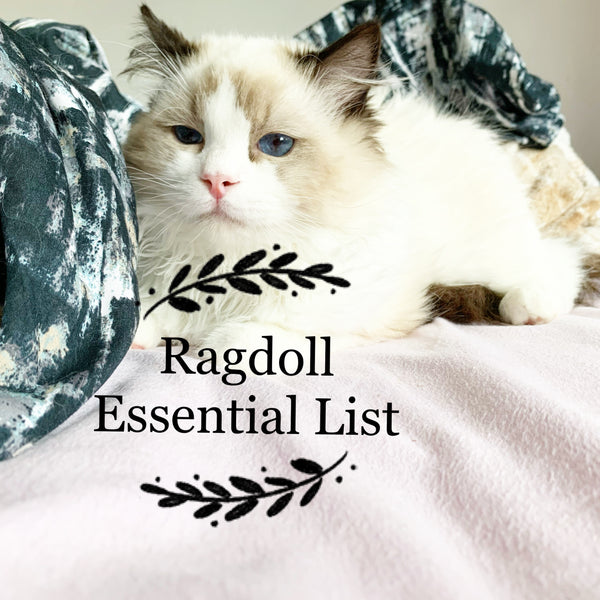 The best Ragdoll Essential Products in the UK- Cherish Lewis Ragdoll Cattery UK