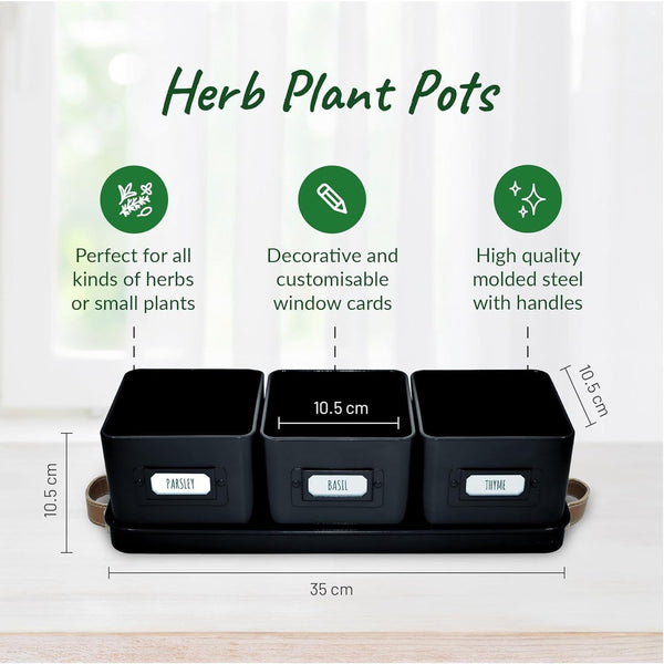 Herb Pots for Kitchen Windowsill - Set of Herb Planter Indoor with Leather Handled Tray - Ideal for an Indoor Herb Garden, Plants and Flowers - Labels Included