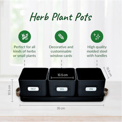 Herb Pots for Kitchen Windowsill - Set of Herb Planter Indoor with Leather Handled Tray - Ideal for an Indoor Herb Garden, Plants and Flowers - Labels Included