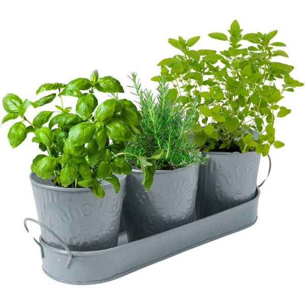 Trendi – Set of 3 Metal Plant Pots with Drip Tray | Embossed Indoor & Outdoor Plant Pots for Garden, Windowsill, Kitchen & Desk | Decorative Metal Flower Pots for Herbs & Plants | Light Grey