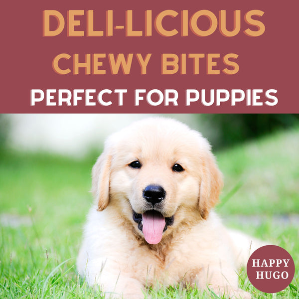 Happy Hugo Venison Bites - Gourmet Dog Treats | Air-Dried, Deli-Style, Chewy Mini Rewards, Puppy-Friendly