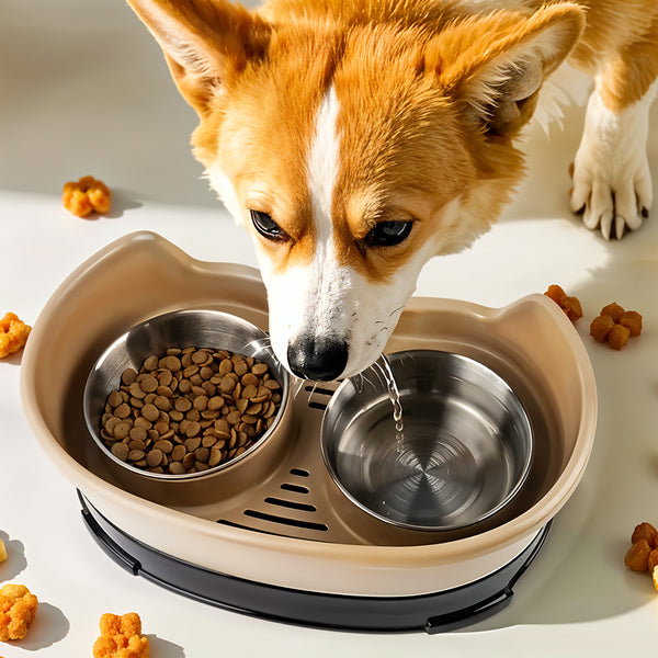Raised Dog Bowls for Cats and Dogs, Elevated Dog Cat Food and Water Bowls Stands Feeder Dishes with 2 Stainless Steel Bowls, 2 Colours Available
