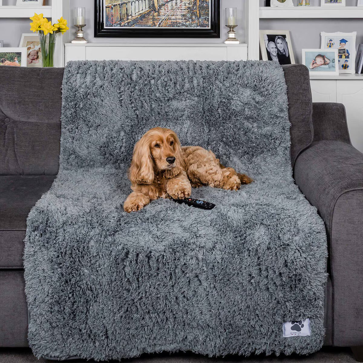 Pet Rebellion Comfy Cover 100Cm X 170Cm, in Grey