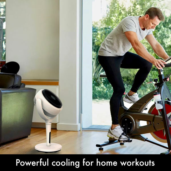 Aircraft LUME Ultra Quiet 2 in 1 Air Circulator Fan with Remote & LED Backlight in Stone White
