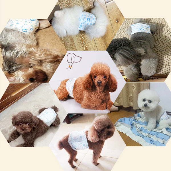 Disposable Dog Nappies Male, Male Dog Wraps, 12pcs Dog Belly Bands, Wetness Indicator, Super Absorbent, Leak-Proof, Incontinence,Stretchy Pants, 4 Size for 3 - 25kg Male Dog