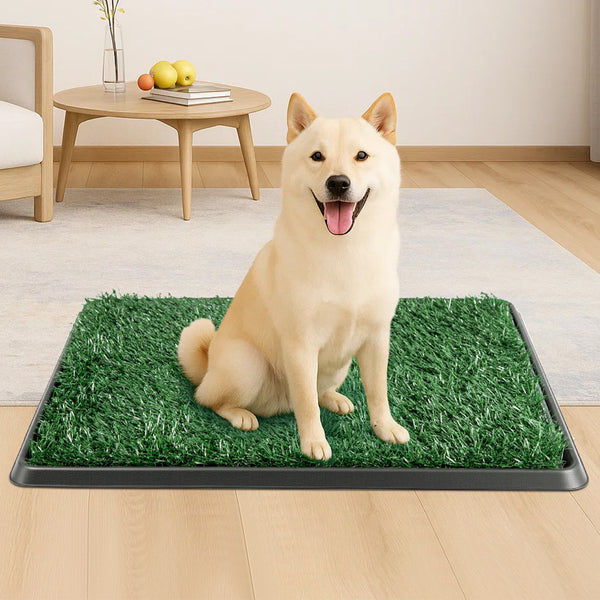 20 x 16 inch Dog Toilet Tray with Artificial Grass – Reusable Dog Litter Tray for Puppies and Small Dogs, Portable Potty with Drainage System for Flat or Home Use Indoor