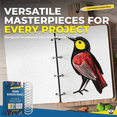 70 or 140 Pack Metal Hinged Binder Rings | 30mm Loose Leaf Rings for Album, Bookbinding, Scrapbooking & Crafts | Durable Split Key Rings for Flashcards, Notebooks & DIY Projects | Strong Steel Book Rings for Home, Office & School Organisation