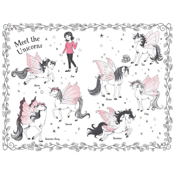 Fairy Unicorns X6 Book Collection