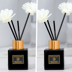 2pcs/set, different aroma diffusers, multiple options to choose from