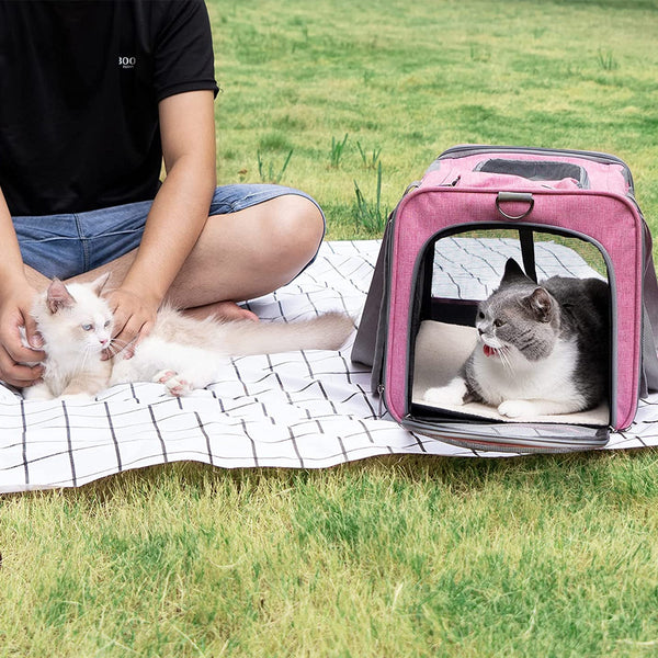 Large Pet Carrier Bag Portable Soft Fabric Fold Dog Cat Puppy Travel Bag in UK
