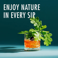 DO YOUR WHISKY | DIY Whiskey Making Kit for Adults | Bartender Kit | Wedding Gift | Anniversary Birthday Gifts for Men & Women | Unique Gift for Him, Her | 12 Handpicked Botanicals, Recipes & Bottles