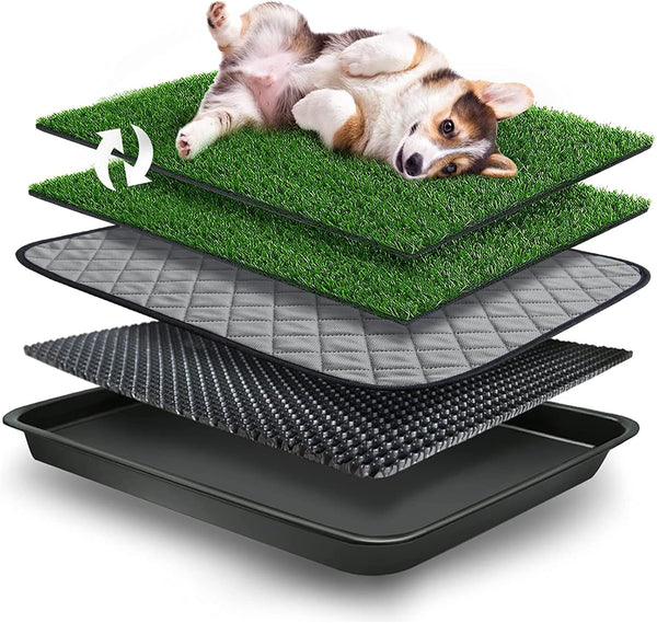 Goldouya Pet Potty Grass Mat with Tray, Complete Potty System for Indoor/Outdoor Puppy Training, Reusable Pet Litter Box Training Pads