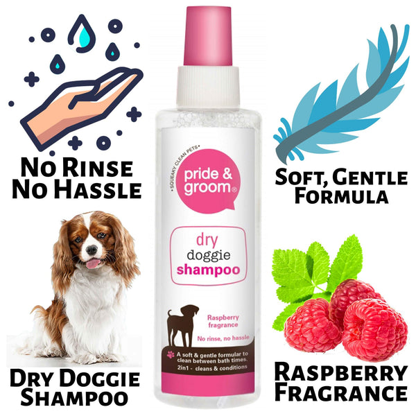 1X Pride & Groom Raspberry Scented Dry Dog Shampoo 200ml