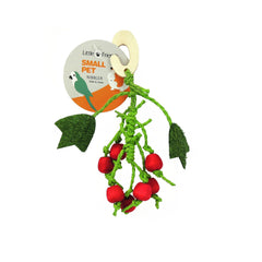 Berry Nibbler Hanging Toy for Small Animals – Hamsters, Rabbits & Guinea Pigs