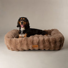 Scruffs Alpine Box Medium Pet Bed 60 X 50Cm in Taupe