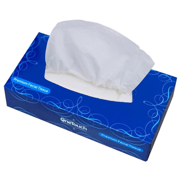 24 boxes of 2Ply Facial Tissue Tissue Boxes 2-ply Soft Tissues for Everyday Use Gentle on Your Skin