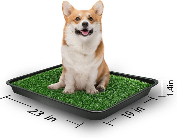 Goldouya Pet Potty Grass Mat with Tray, Complete Potty System for Indoor/Outdoor Puppy Training, Reusable Pet Litter Box Training Pads