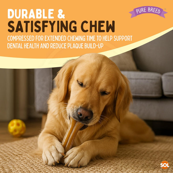 Pure Breed 4pk Pressed Dog Bones | Long Lasting Flavoured Chew Treats for Dogs, Puppies & Large Breeds | Low Fat, High Protein Dental Chews | Healthy Training & Reward Dog Treat Bones