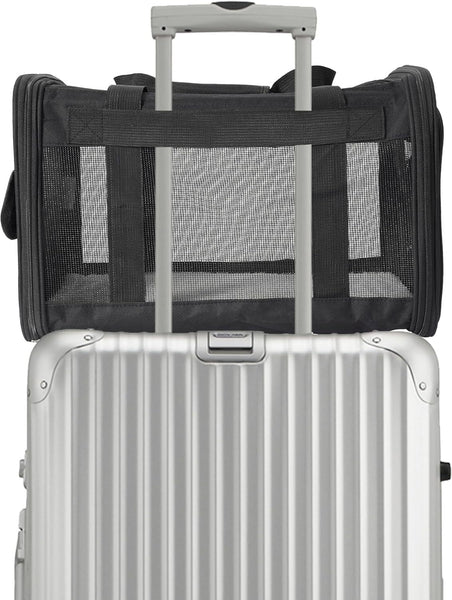 Foldable Pet Carrier Backpack with Adjustable Shoulder Strap, Dog Transport Box for Medium Small Dogs Cats, Load Capacity 3-6 kg, Travel Carrier, Black