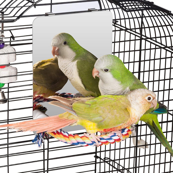 Colorday 9 Inch Stainless Steel Bird Mirror with Rope Perch, Bird Toys Swing, Comfy Perch for African Grey Parakeet Cockatiel Conure Lovebird Finch Canaries