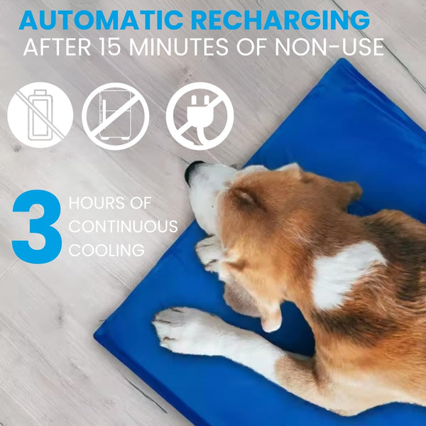 Lizzy Medium Pet Cooling Mat 40cm x 50cm | Self-Cooling Gel Mat for Dogs up to 30kg | No Water, Electricity or Refrigeration Needed | Wipe-Clean, Portable Pad for Summer Comfort
