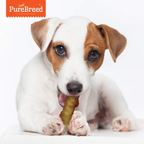 Rawhide Meat Wrapped Delicious Dog Treats, Twist Rawhide Sticks in Savoury Chicken Flavour, Puppy Chews for Reward & Training, Low Fat, High Protein Dog Chew Sticks Convenient for Travel & Walks
