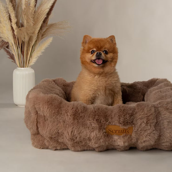 Scruffs Alpine Box Medium Pet Bed 60 X 50Cm in Taupe