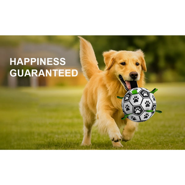 Dog Fetch Ball with Grab Straps for Small and Medium Dogs Durable Pet Play Ball for Outdoor Training Water Play and Daily Exercise