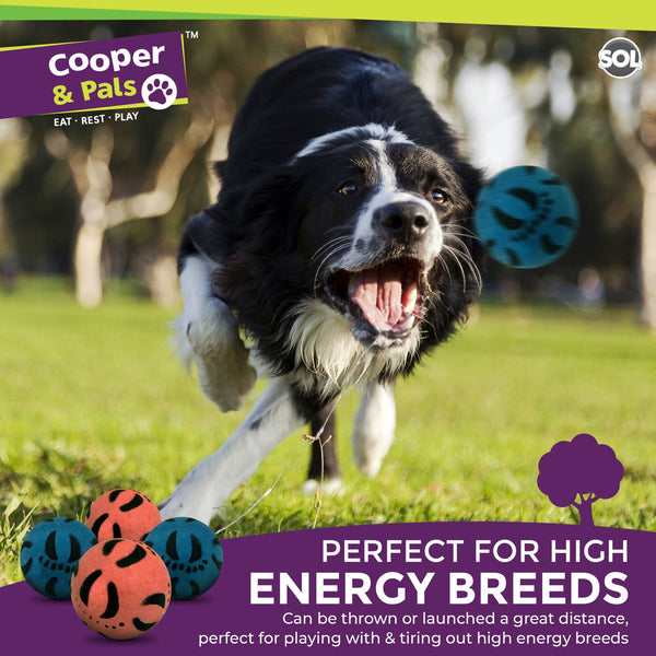 4 Pack Rubber Dog Balls | Bouncy Pet Play Balls for Dogs & Puppies | Durable Solid Rubber Fetch Toys | Brightly Coloured Dog Toy Balls for Fun Indoor & Outdoor Play