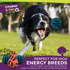 4 Pack Rubber Dog Balls | Bouncy Pet Play Balls for Dogs & Puppies | Durable Solid Rubber Fetch Toys | Brightly Coloured Dog Toy Balls for Fun Indoor & Outdoor Play