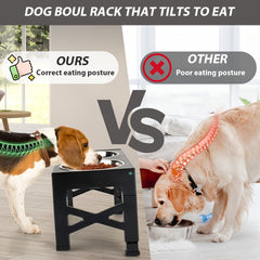 1 Set of Lifting Dog Bowl Pet Feeding Station Stainless Steel Double Bowl Pet Feeding Rack with Foldable Legs, Single Bowl Capacity of 1.1L, Five-Gear Height Adjustable, And The Highest Lifting Height Can Be Adjusted to 31Cm30.99 cm, Which Is Suitable for