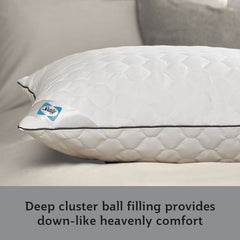 Sealy Deeply Full Pillow, 2 Pack
