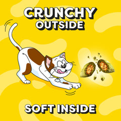 4 x 350g Dreamies Catnip Cat Treats Mega Tubs Cat Biscuits (1.4kg)