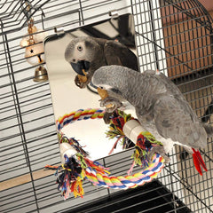 Colorday 9 Inch Stainless Steel Bird Mirror with Rope Perch, Bird Toys Swing, Comfy Perch for African Grey Parakeet Cockatiel Conure Lovebird Finch Canaries