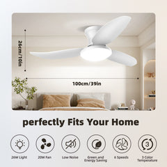 Modern Ceiling Fan Light with Remote Control - Dimmable Fixture, 6-Speed Adjustable Fan & 3-Tier Color Temperature (3000K/4500K/6500K), Timer, Suitable for, Semi-Recessed Installation, Bohemian Style Ceiling Light with Fan