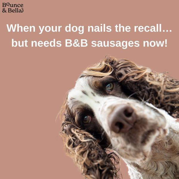 Gourmet Dog Treats - Air-Dried Sausages | Grain-Free, No Derivatives, All-Natural - 200g | Bounce & Bella