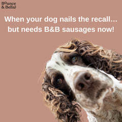Gourmet Dog Treats - Air-Dried Sausages | Grain-Free, No Derivatives, All-Natural - 200g | Bounce & Bella