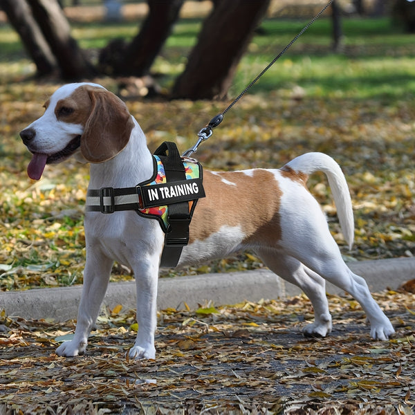 Basic Dog Harness for Emotional Support Dogs Non-Tension Reflective Adjustable Non-Choking Pet Vest Straps with Handles for Easy Walking And Training for Small Medium And Large Dogs