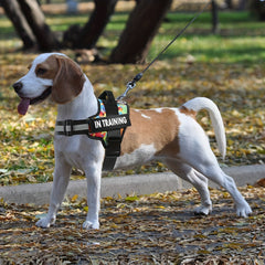 Basic Dog Harness for Emotional Support Dogs Non-Tension Reflective Adjustable Non-Choking Pet Vest Straps with Handles for Easy Walking And Training for Small Medium And Large Dogs