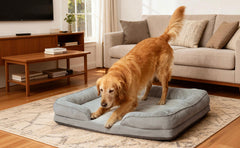 Orthopedic Dog Bed with Removable CoverFoam Pet Mattress for All-Season Comfort, Non-Slip Bottom, Fits Medium/Large/Small Dogs, Cozy Bedroom Accessory