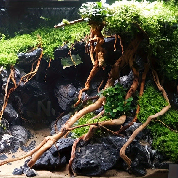 A Collection of Driftwood Pieces for Aquarium Decoration, Perfect for Creating a Natural Landscape in Your Fish Tank